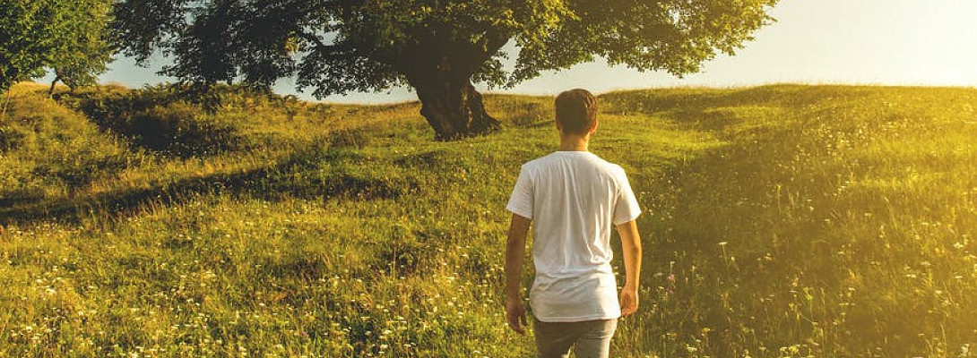 Summer walks in the park .
