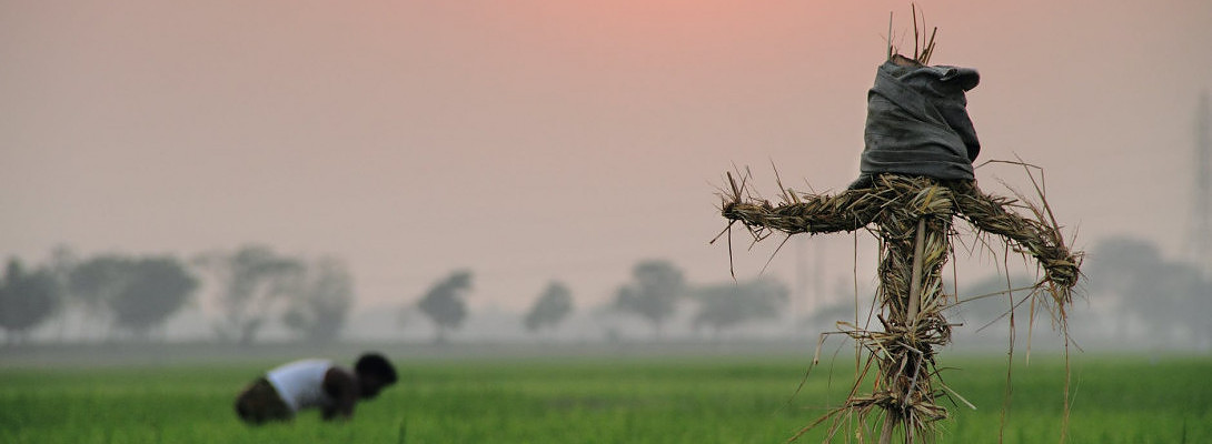 "Make Hay while the sun shines".