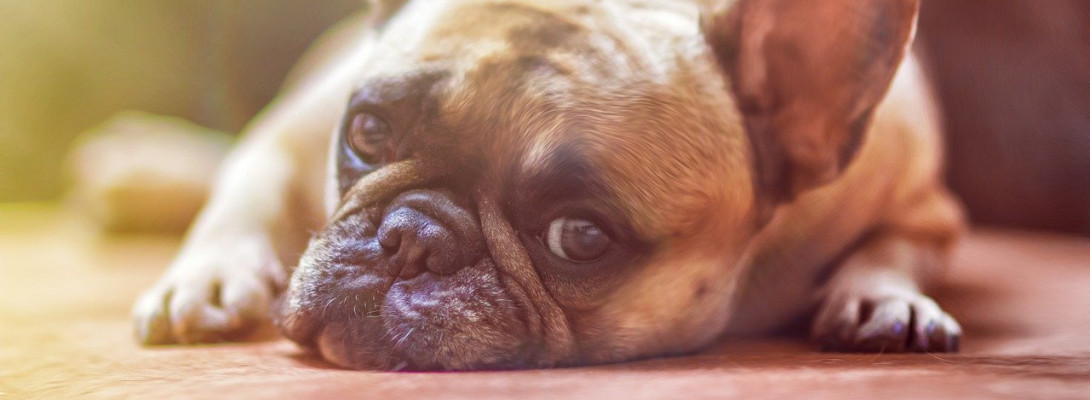 About to lose Top 200 ranking Who Cares? Not I