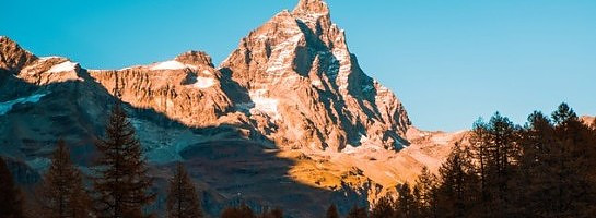 It's not what you know . BUT .