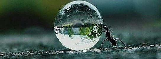 Your Limits and Mind