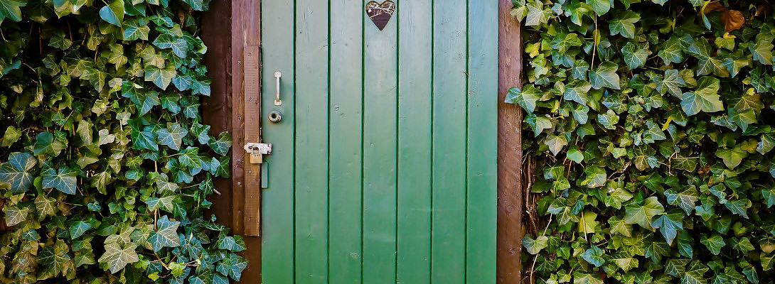 Super Happy to Be A Premium+Plus