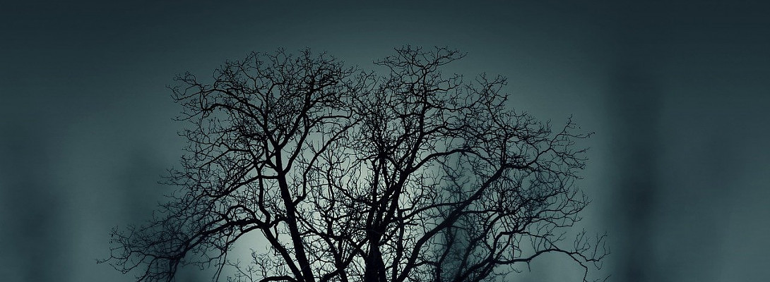 Time for Spooky Season