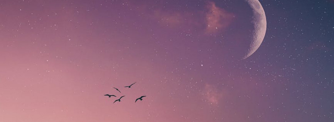 Early Bird Catches The Worm?