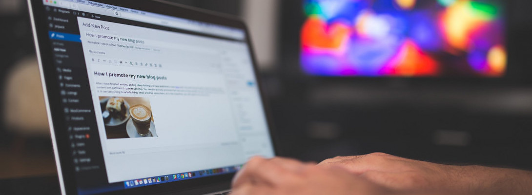 A WordPress 5.5.1 Update Issue