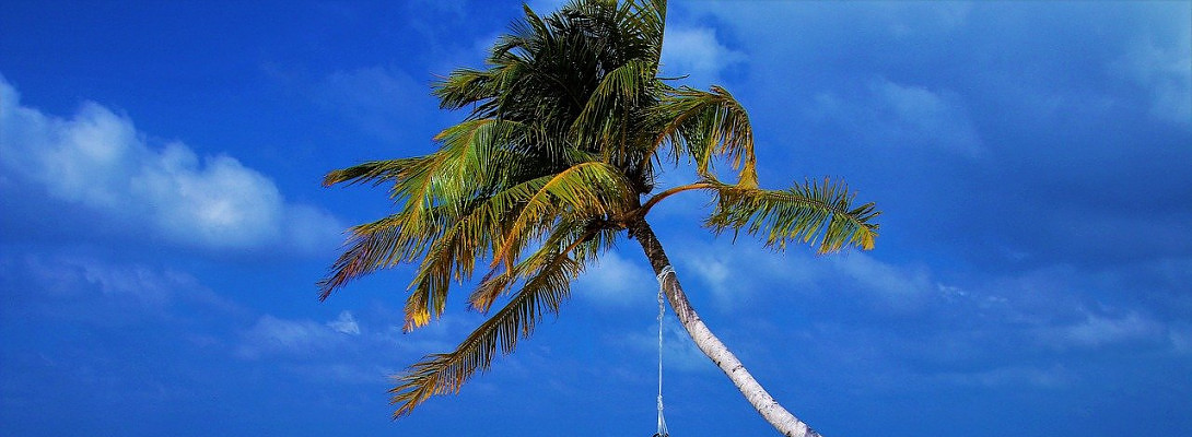 Back from holiday and discovered I have my first commission!