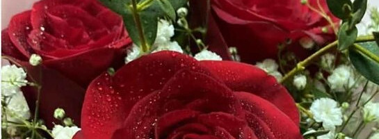 Happy Valentine's Day Greetings to all, My WA Family