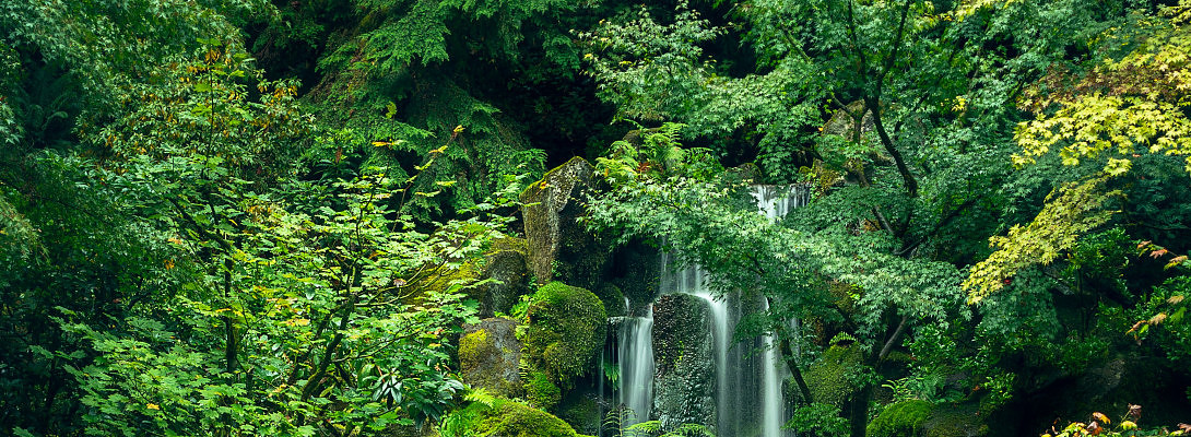 trying to make cash at home n love it