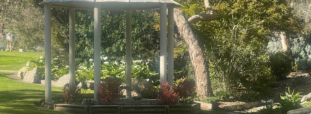 I'm Back From My Little Break