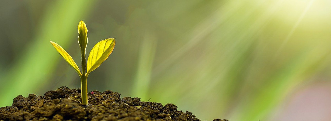 Growing Doesn't Always Happen On It's Own