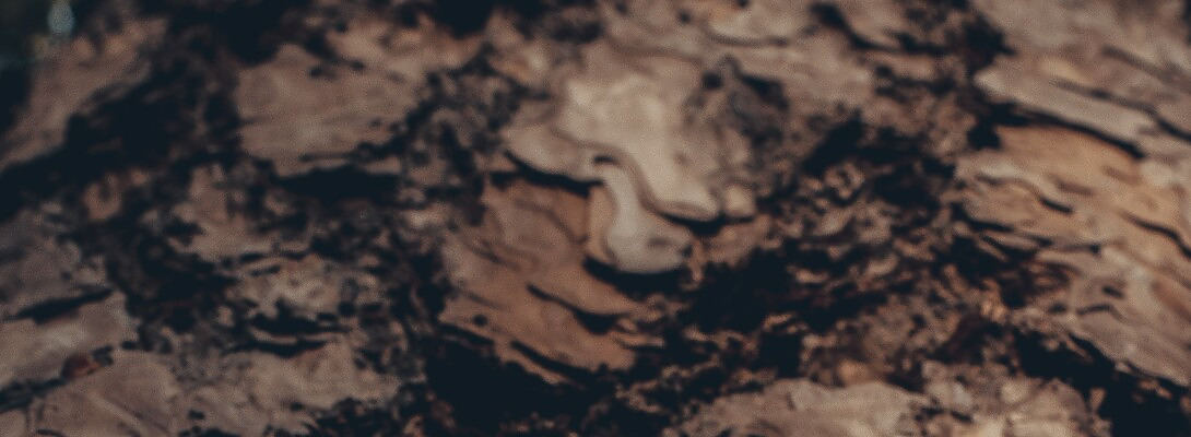 How Taurus signs are effected by Mars trough Sagittarius