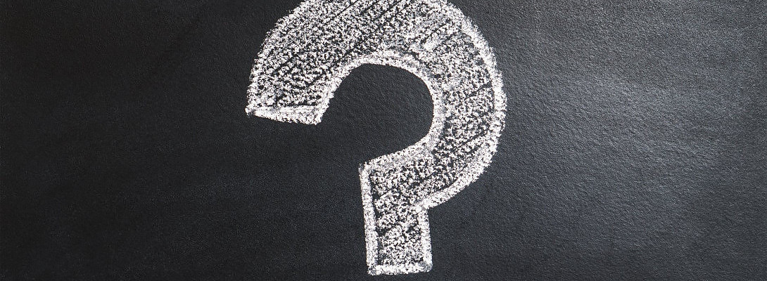 All in One SEO Training