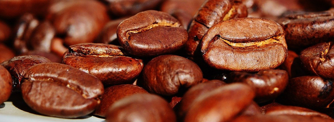 Good bean juice make brain go zoom!