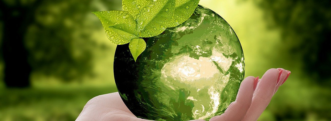 Heal your Planet