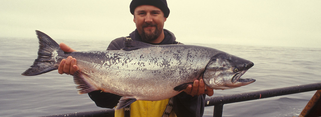 Choose Your Attitude - The Fish! Philosophy