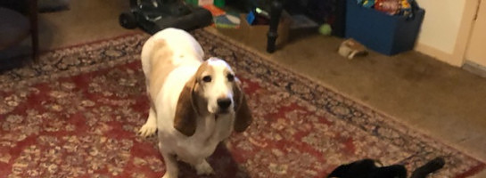 Things moving quickly!