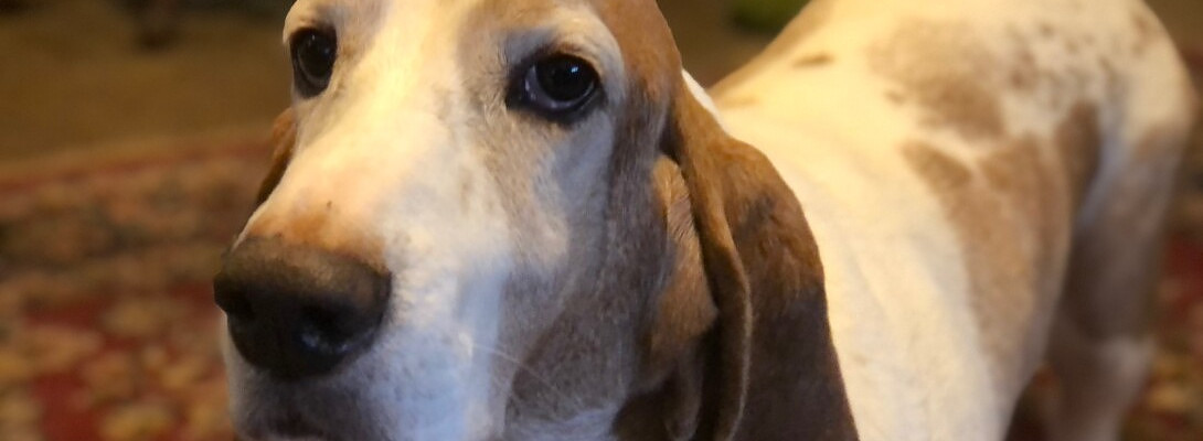 Cooper is, or was lonely.