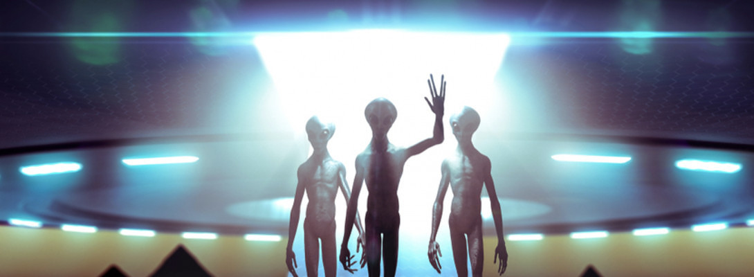 Interactions with Non Human Intelligence