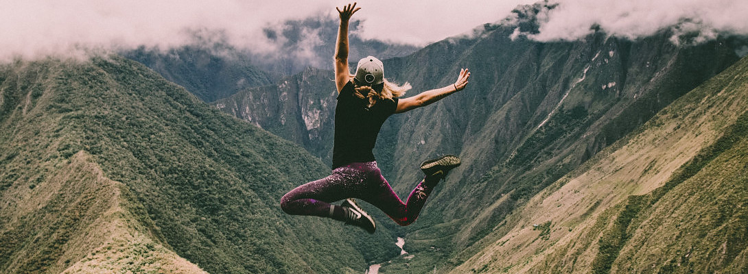 Which Wolf Are You Feeding?