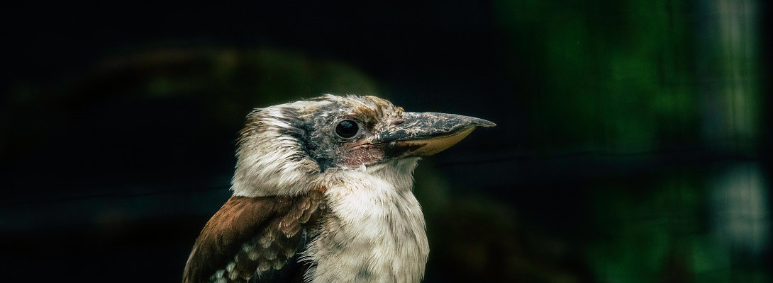 you don't have to be broke and struggle