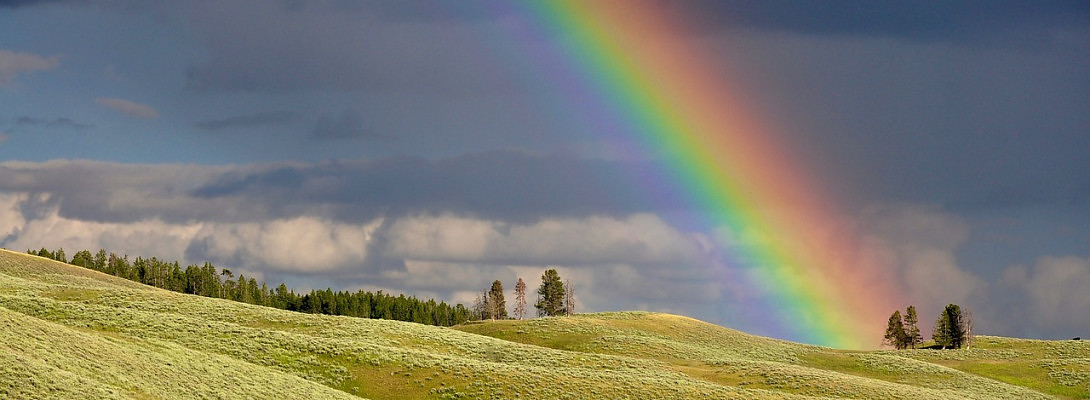 What does rainbow symbolizes in our life
