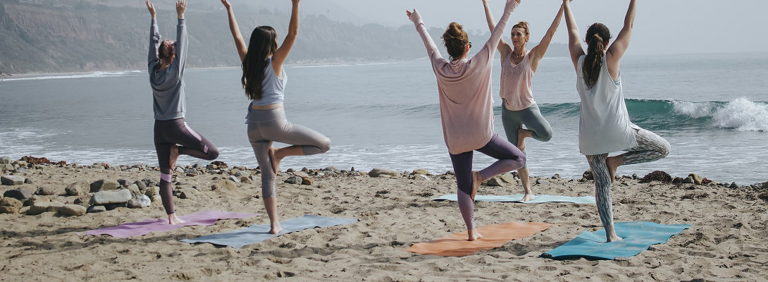 What Training? The Online Entrepreneur Certification or The Affiliate Bootcamp - Choose your path!