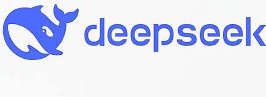 An Interview with "Deep Seek"