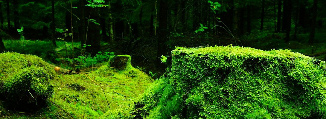 Everything Turns to "SOLD"