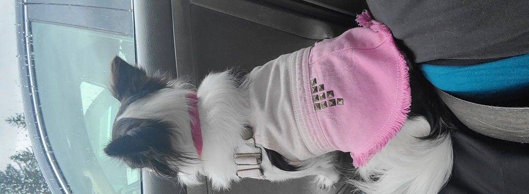 Rainy day waiting for mommy