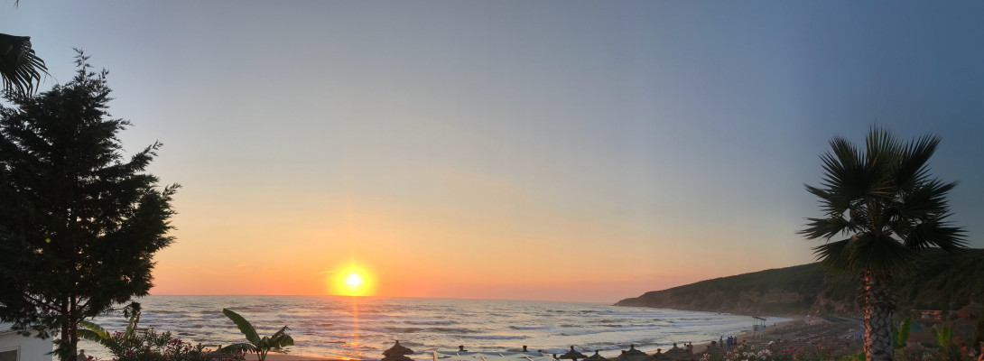 Do you always find an Alibi?