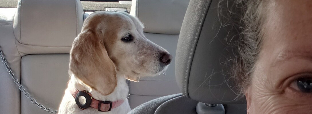 My Dashing Boy Ollie