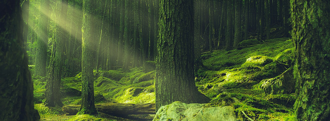 Have You Considered This ?