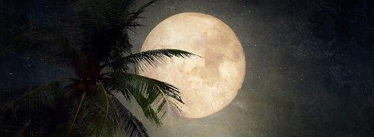 Happy Mid-Autumn Festival to all who celebrate!