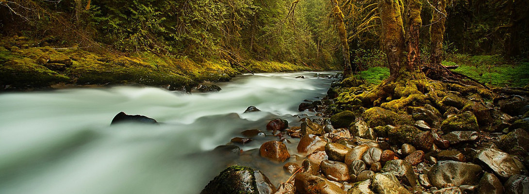 A River Never Go Reverse!