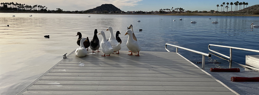 Met Some Friends At The Lake Today!