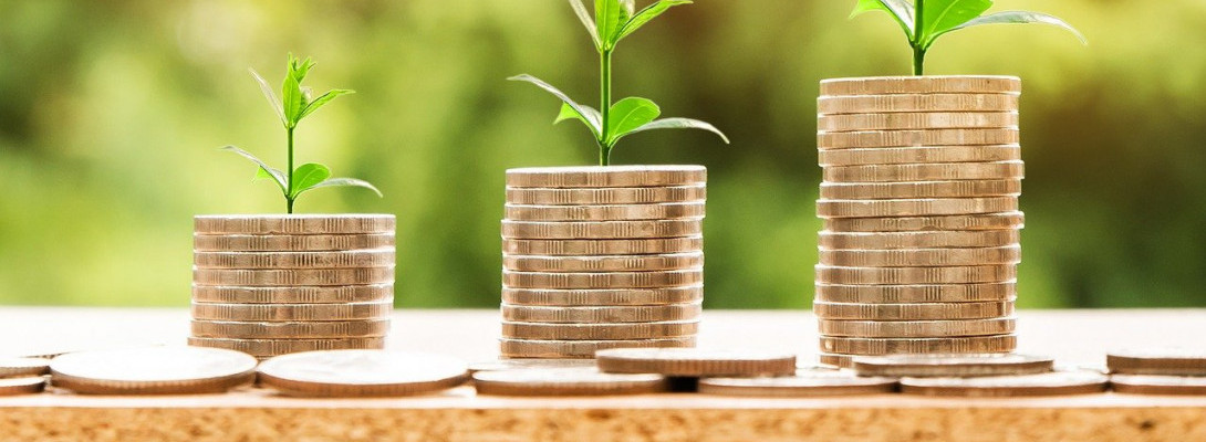 Upgraded to yearly !