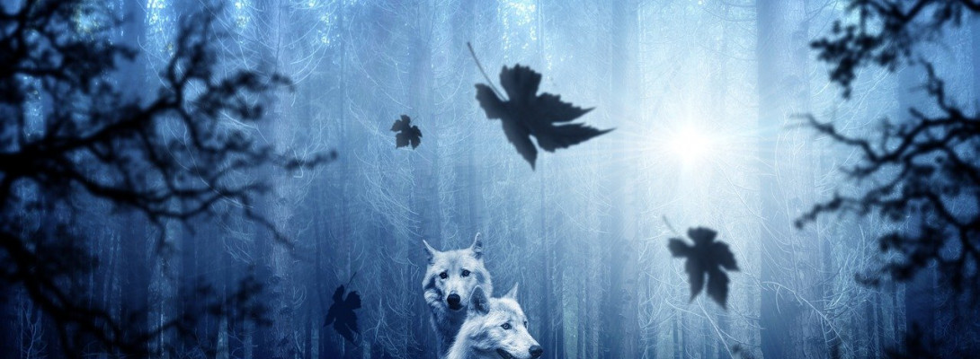 What a surprise! I just earned a new Dedication Badge