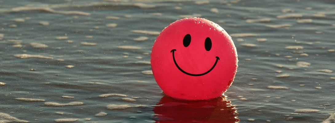 Six months to find a niche! Finally!