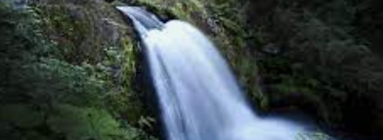 I earned my first commission with WA