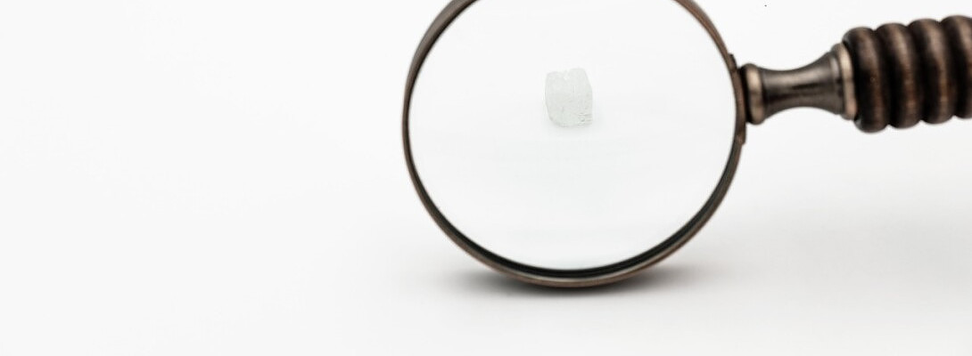 Finding Your Niche. The Sweet Spot Between Passion and Profitability