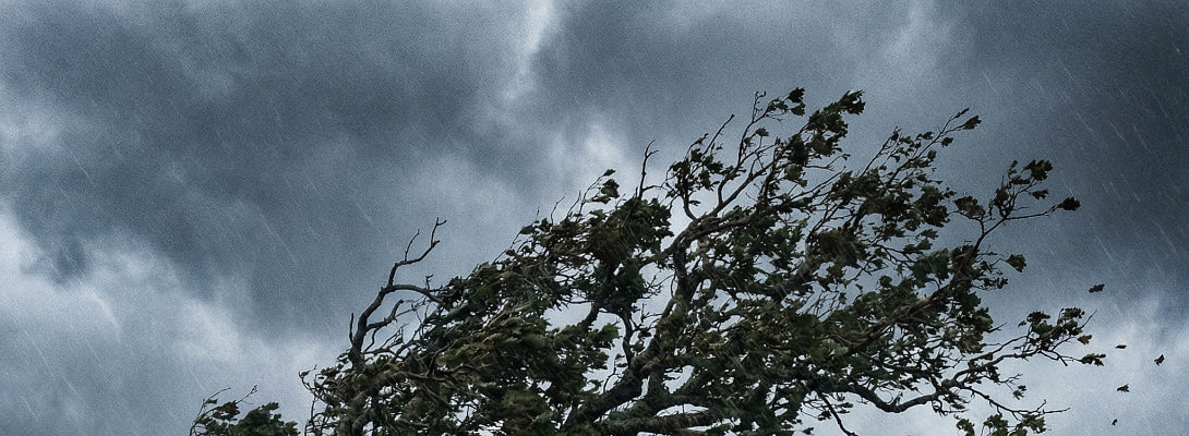 A storm inspired piece on fluid movement.