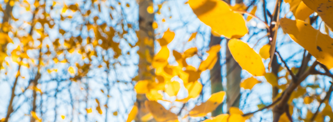 Today May Be a Sun Day