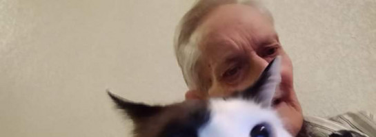 My best friend goes missing