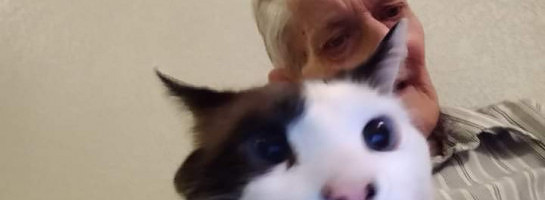 What Do You Mean I Can't Fly