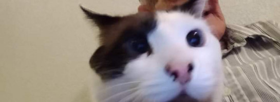 The Best of Memories Past