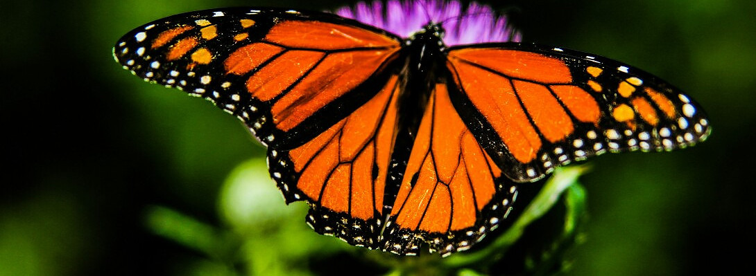 Lucky 7 on Sabbatical!