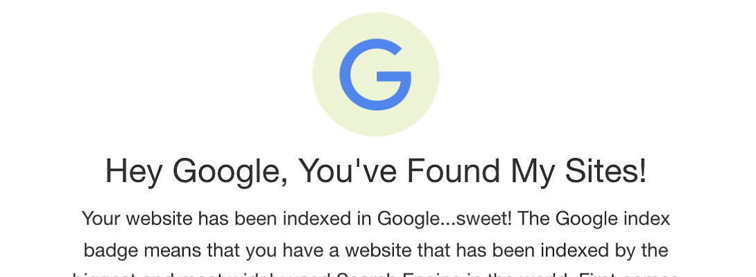 Google indexed my website!