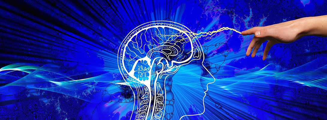 Your brain can not process NEGATIVE SENTENCES properly.?