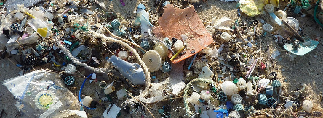 A Stunning Sad Statistic