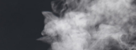 Steam for Healthy Skin